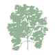 dekoratives Baum Icon