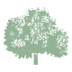 dekoratives Baum Icon