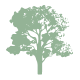 dekoratives Baum Icon